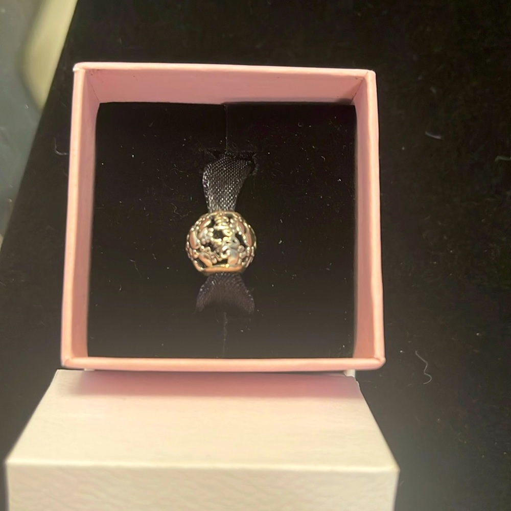 Pandora dog paws with stones charm. Silver